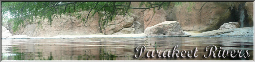 Parakeet Rivers